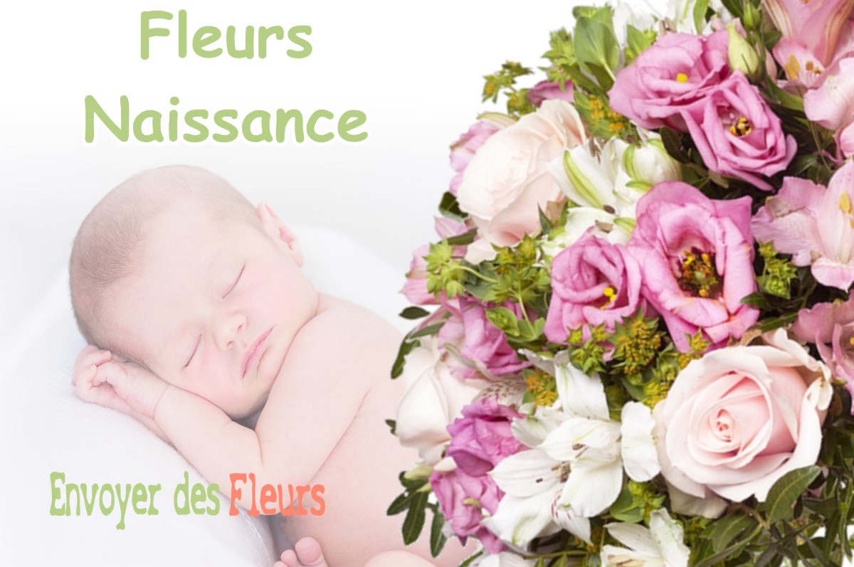 lIVRAISON FLEURS NAISSANCE à LESCHERES